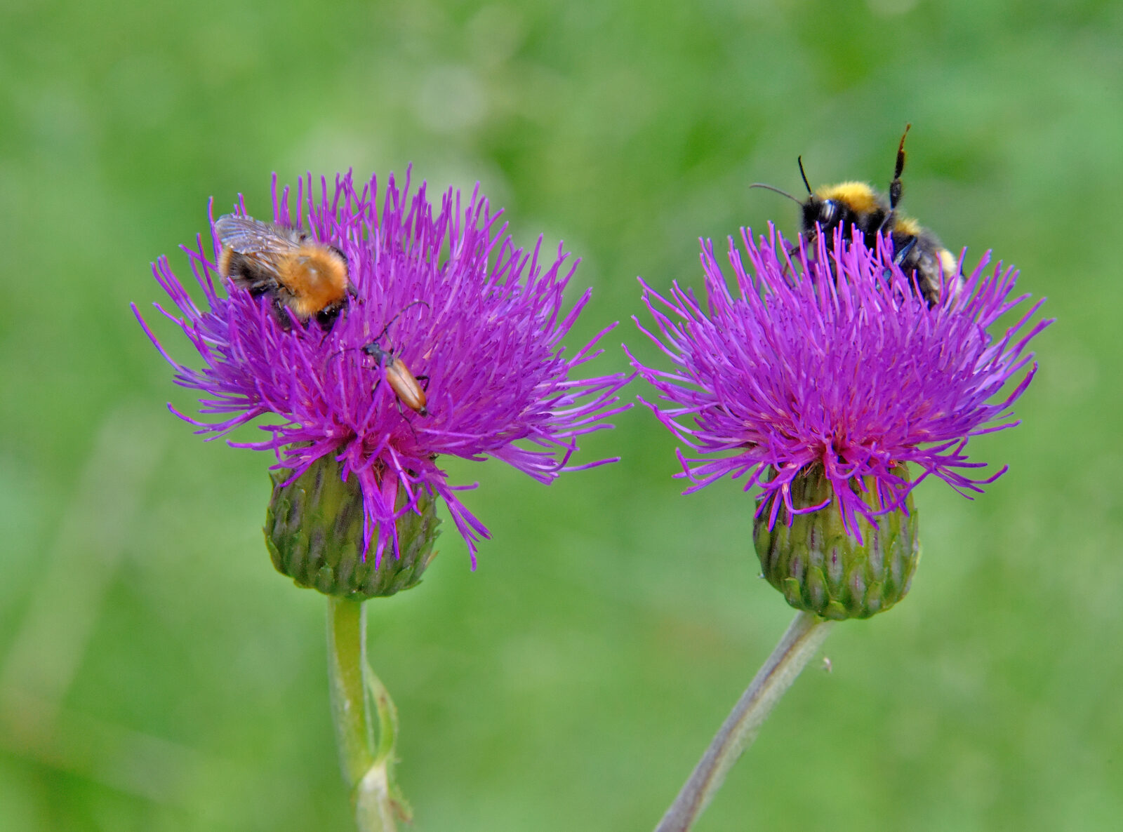 Valokuvaaja: Reijo Juurinen
