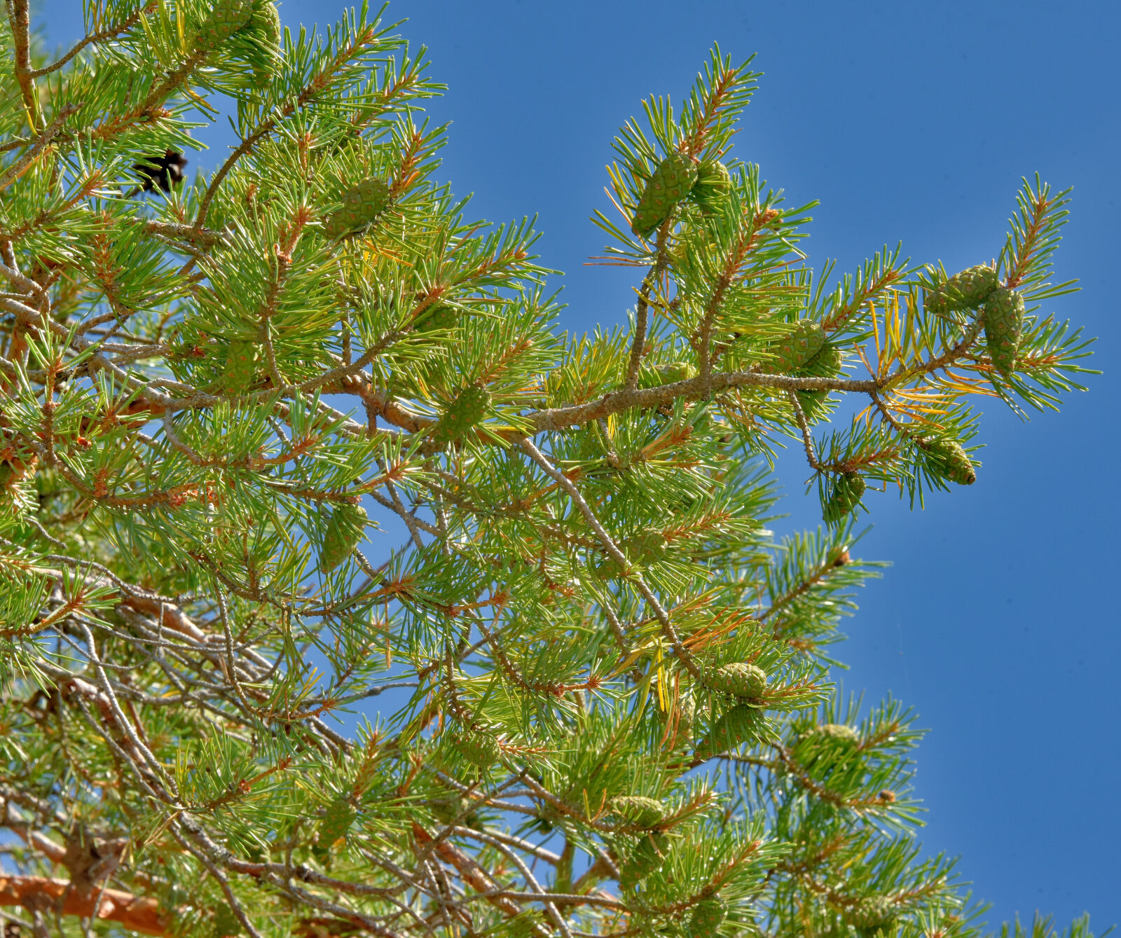 Valokuvaaja: Reijo Juurinen