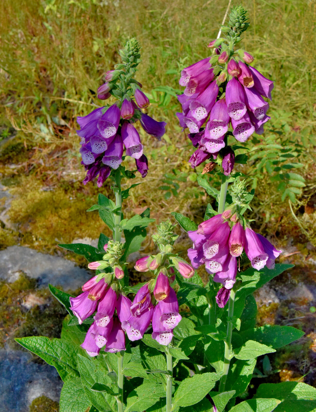 Valokuvaaja: Reijo Juurinen