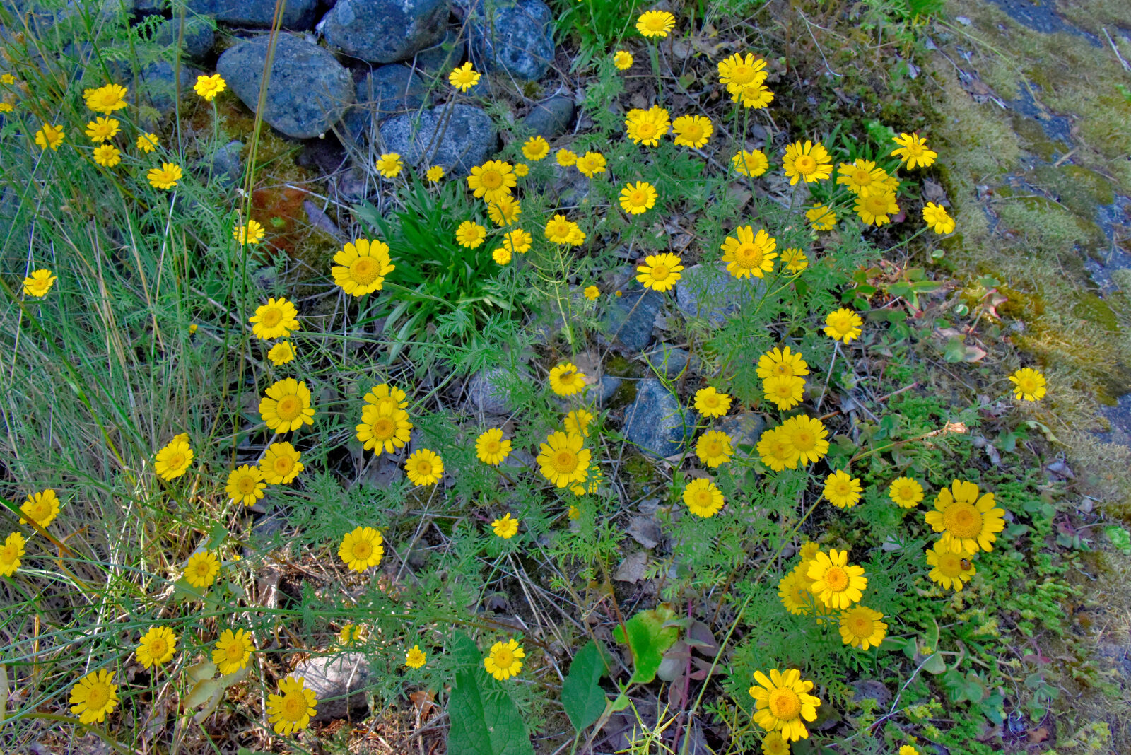 Valokuvaaja: Reijo Juurinen