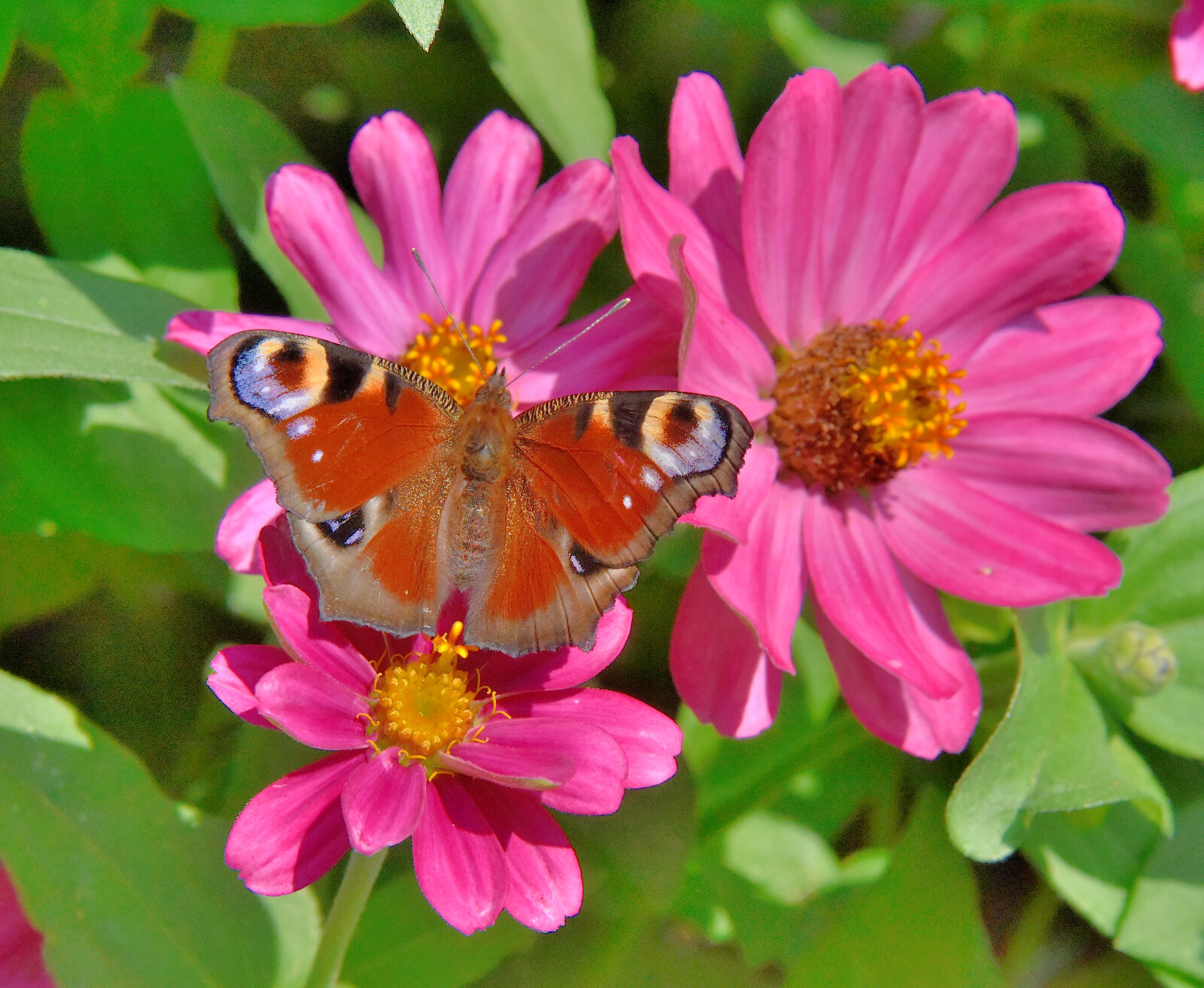 Valokuvaaja: Reijo Juurinen