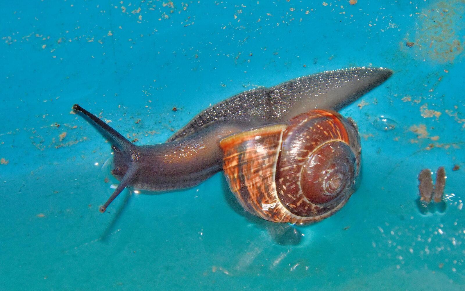 Valokuvaaja: Reijo Juurinen