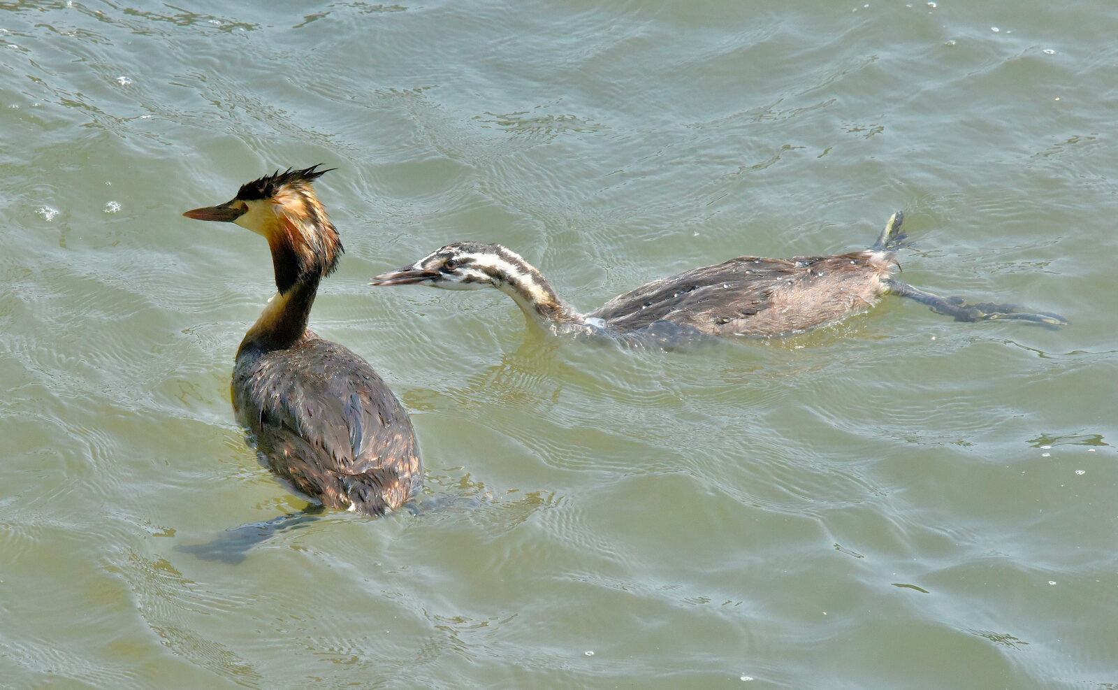 Valokuvaaja: Reijo Juurinen