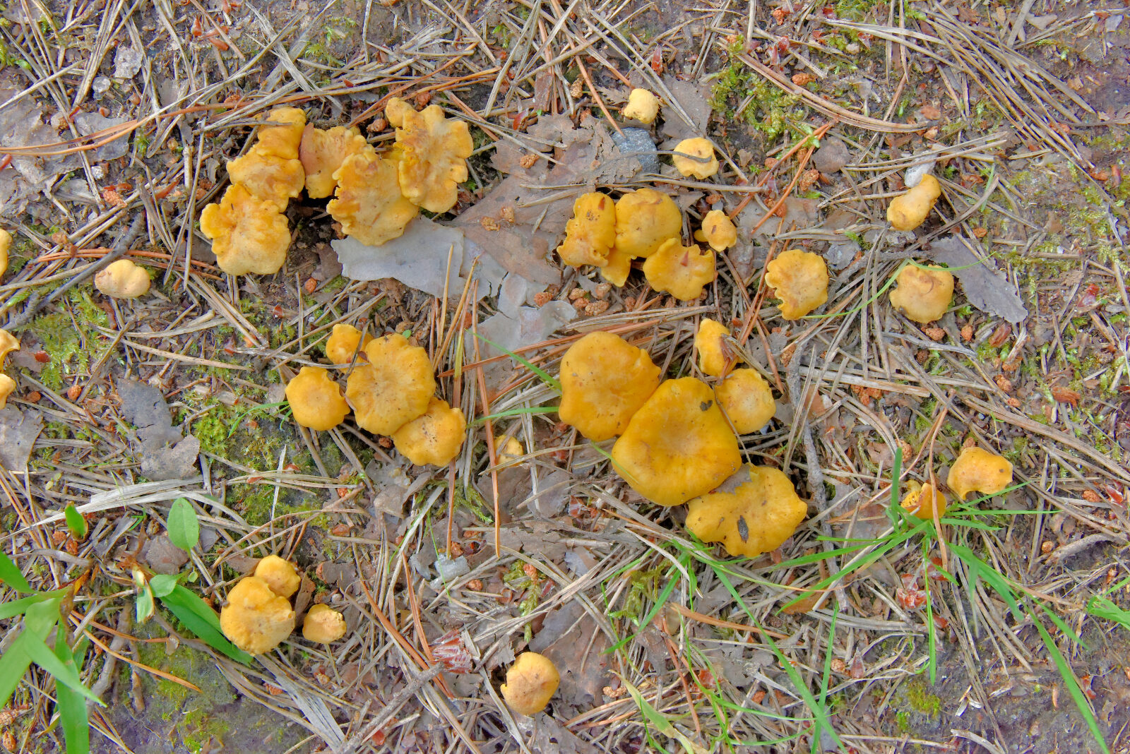 Valokuvaaja: Reijo Juurinen