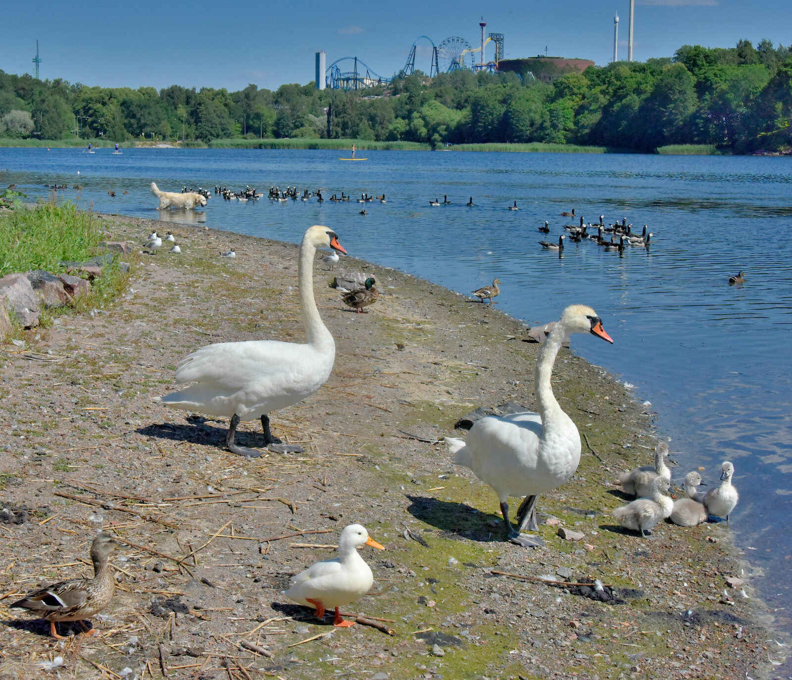 Valokuvaaja: Reijo Juurinen Valokuvaaja: Reijo Juurinen