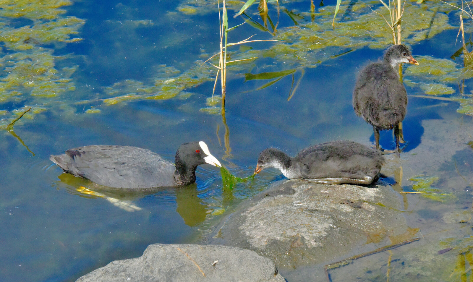 Valokuvaaja: Reijo Juurinen