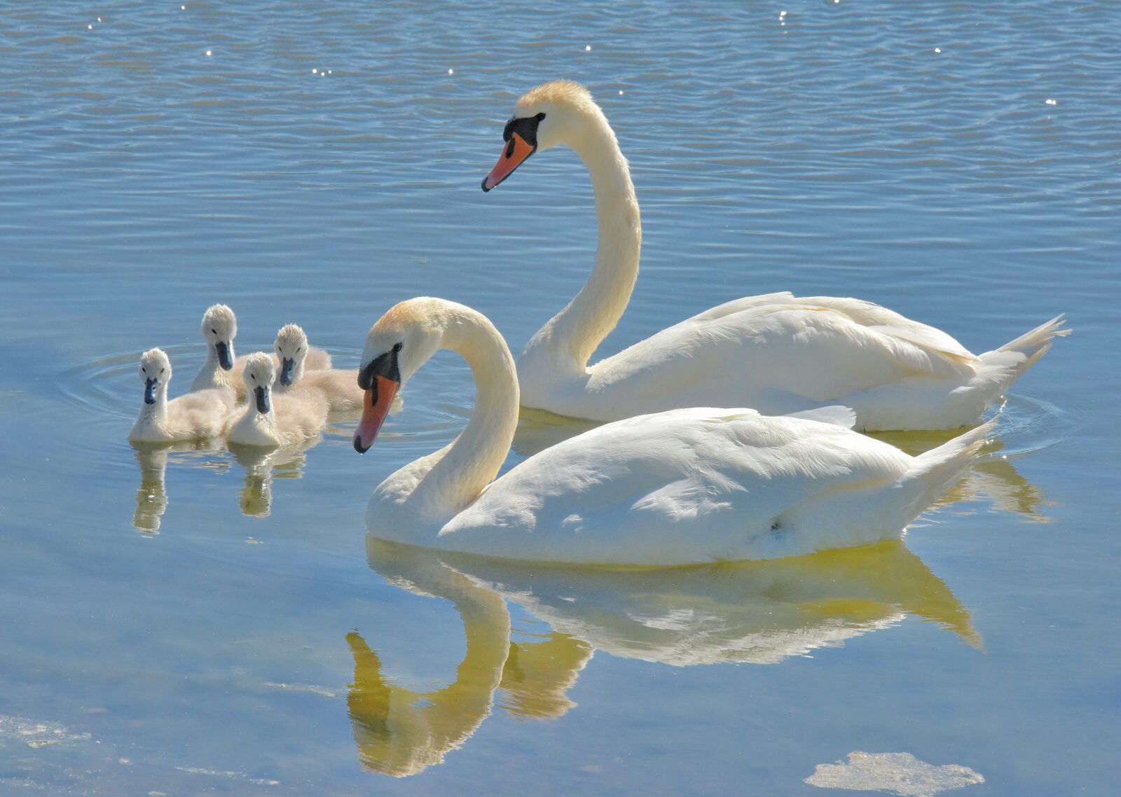 Valokuvaaja: Reijo Juurinen Valokuvaaja: Reijo Juurinen