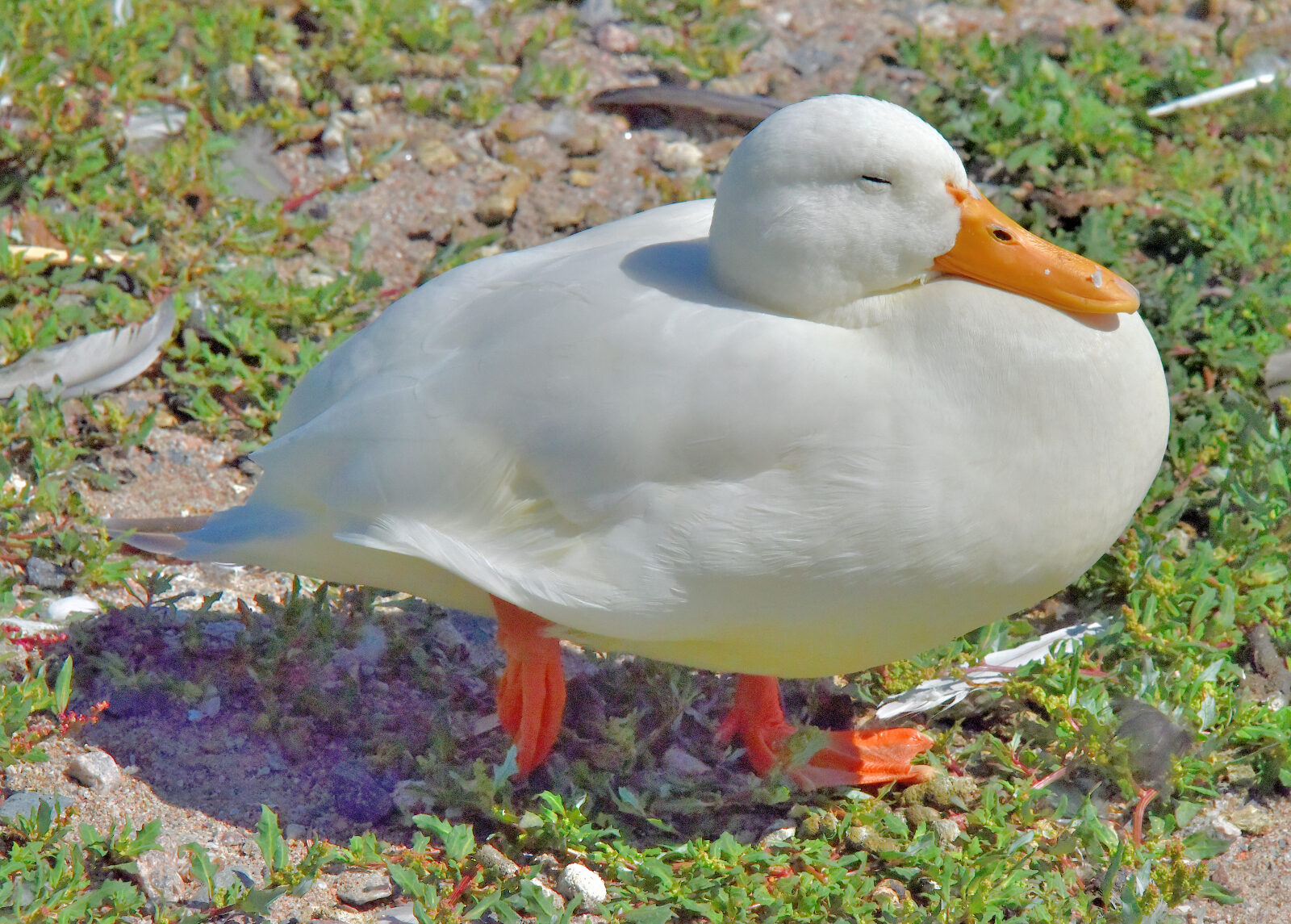 Valokuvaaja: Reijo Juurinen