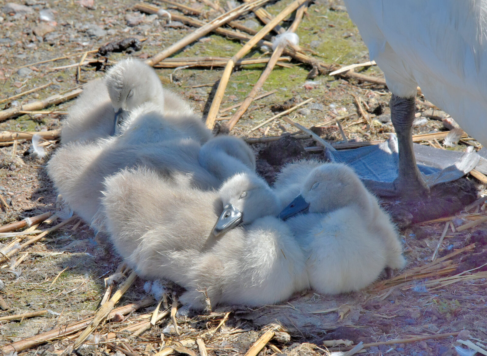 Valokuvaaja: Reijo Juurinen
