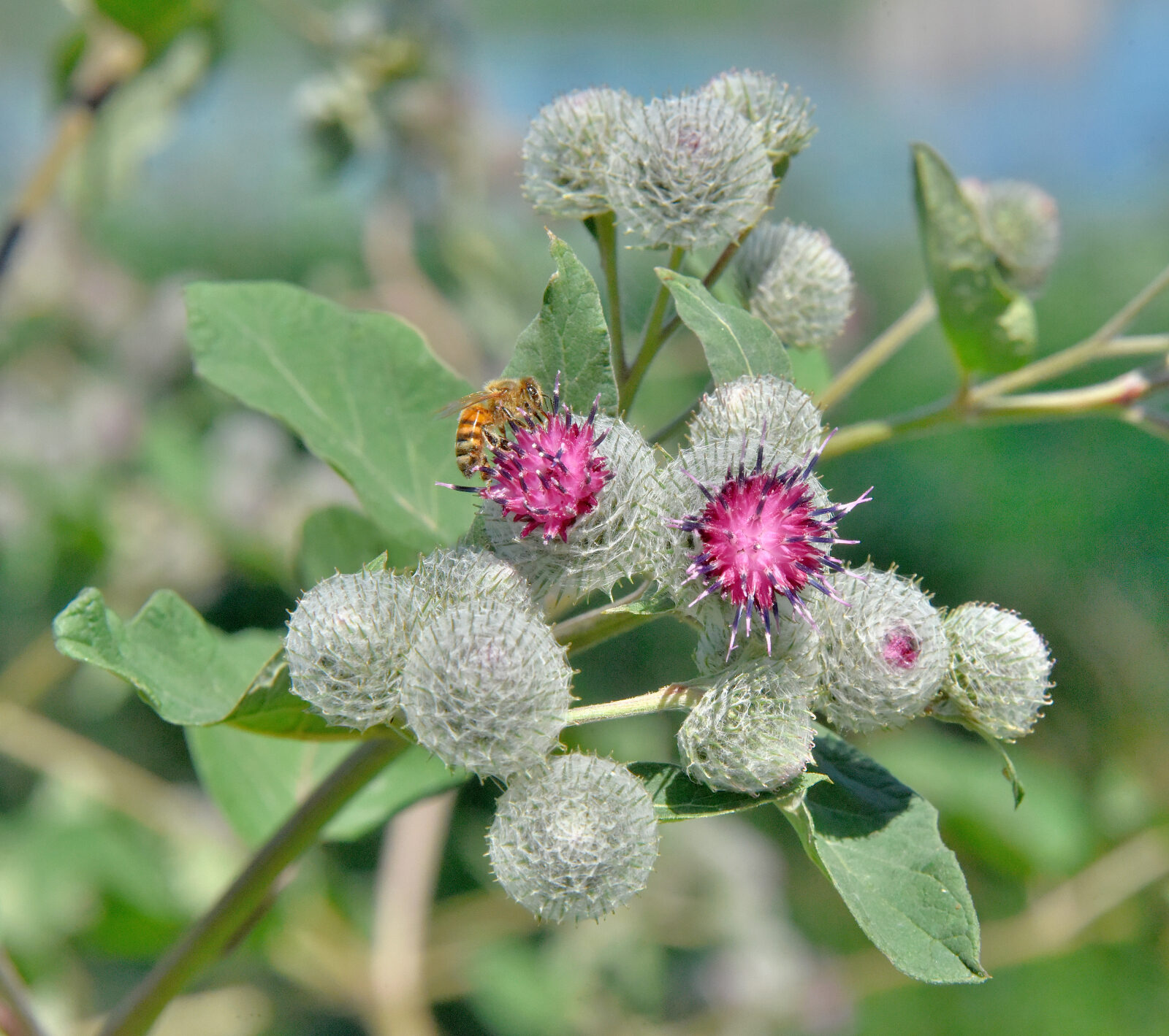 Valokuvaaja: Reijo Juurinen