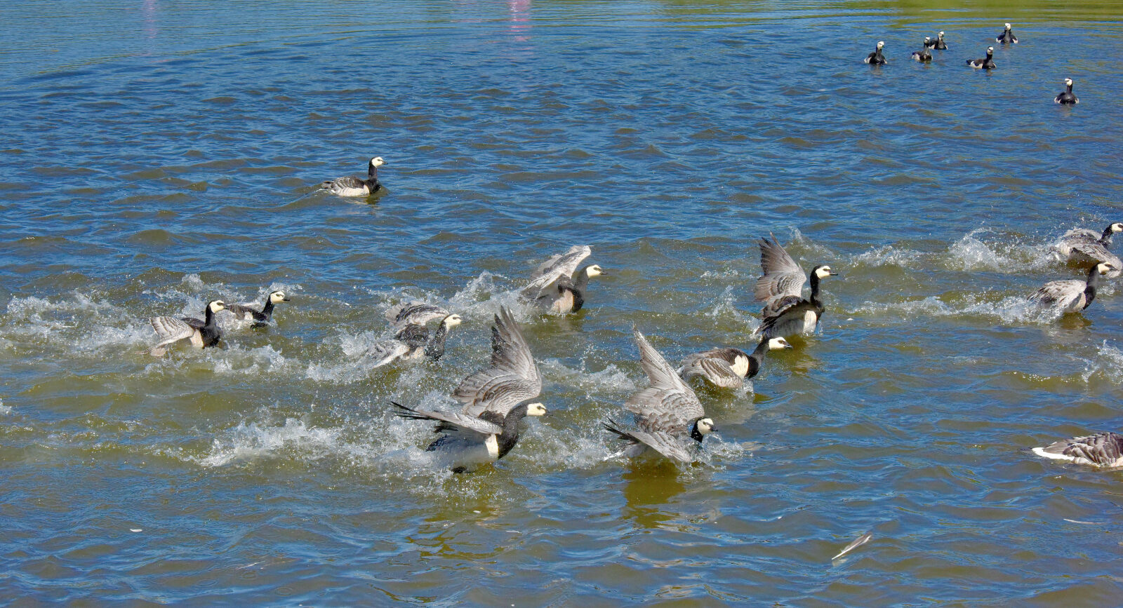 Valokuvaaja: Reijo Juurinen