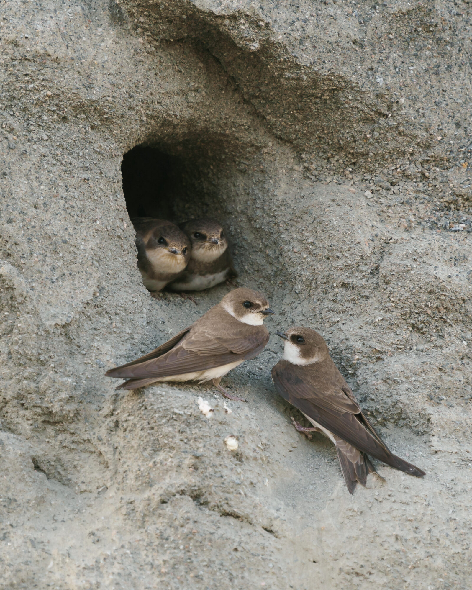 Valokuvaaja: Lauri Hölttä