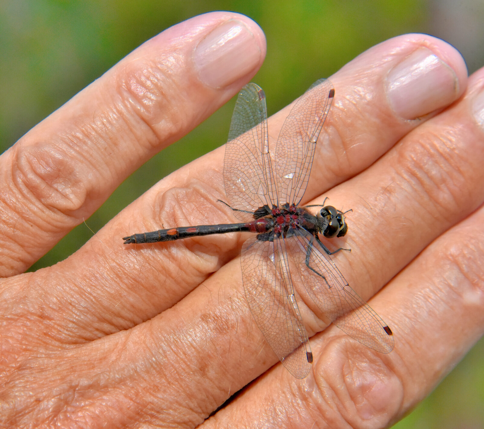 Valokuvaaja: Reijo Juurinen