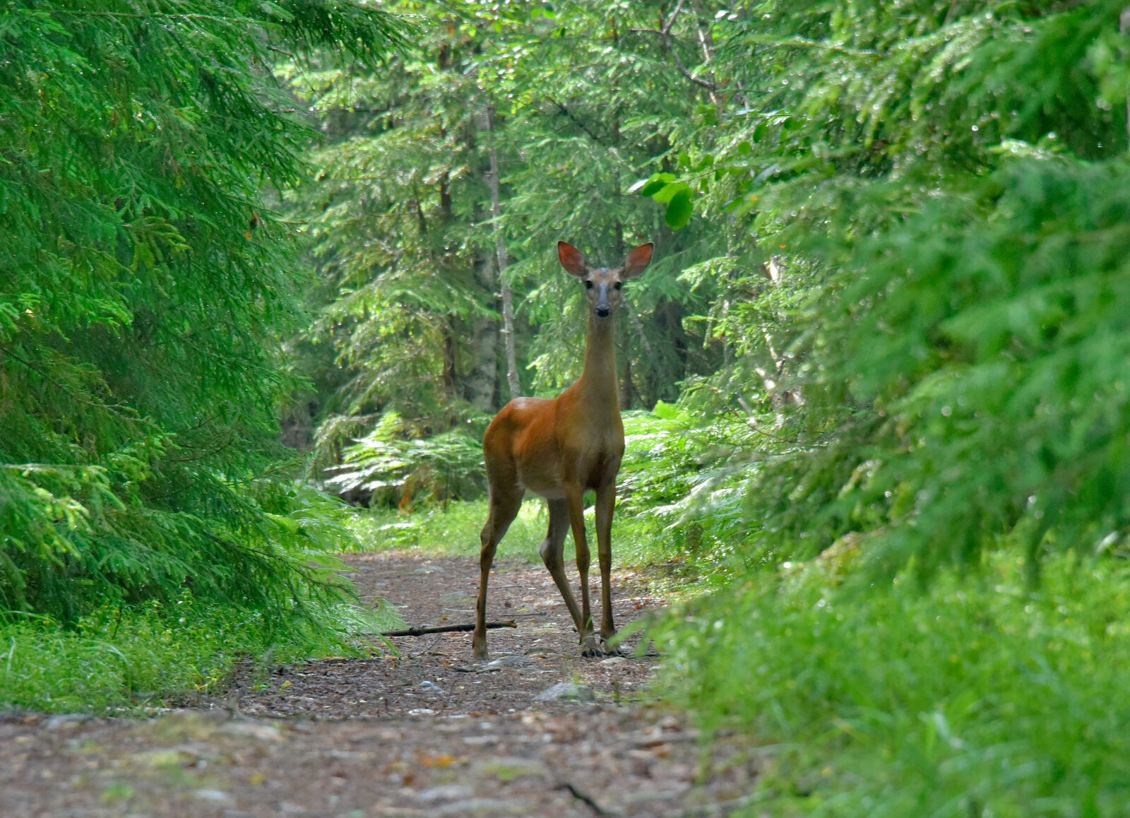 Valokuvaaja: Reijo Juurinen