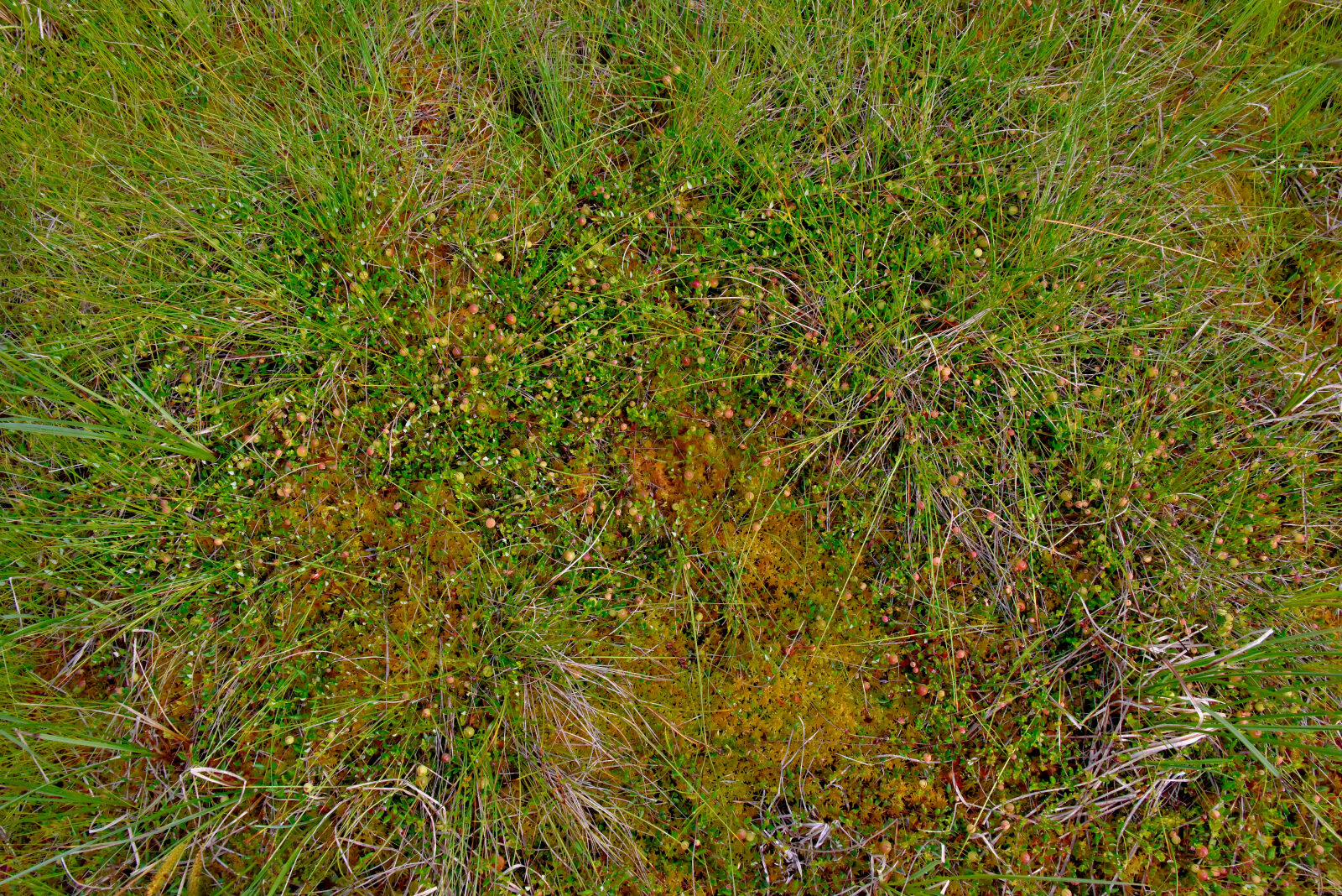 Valokuvaaja: Reijo Juurinen