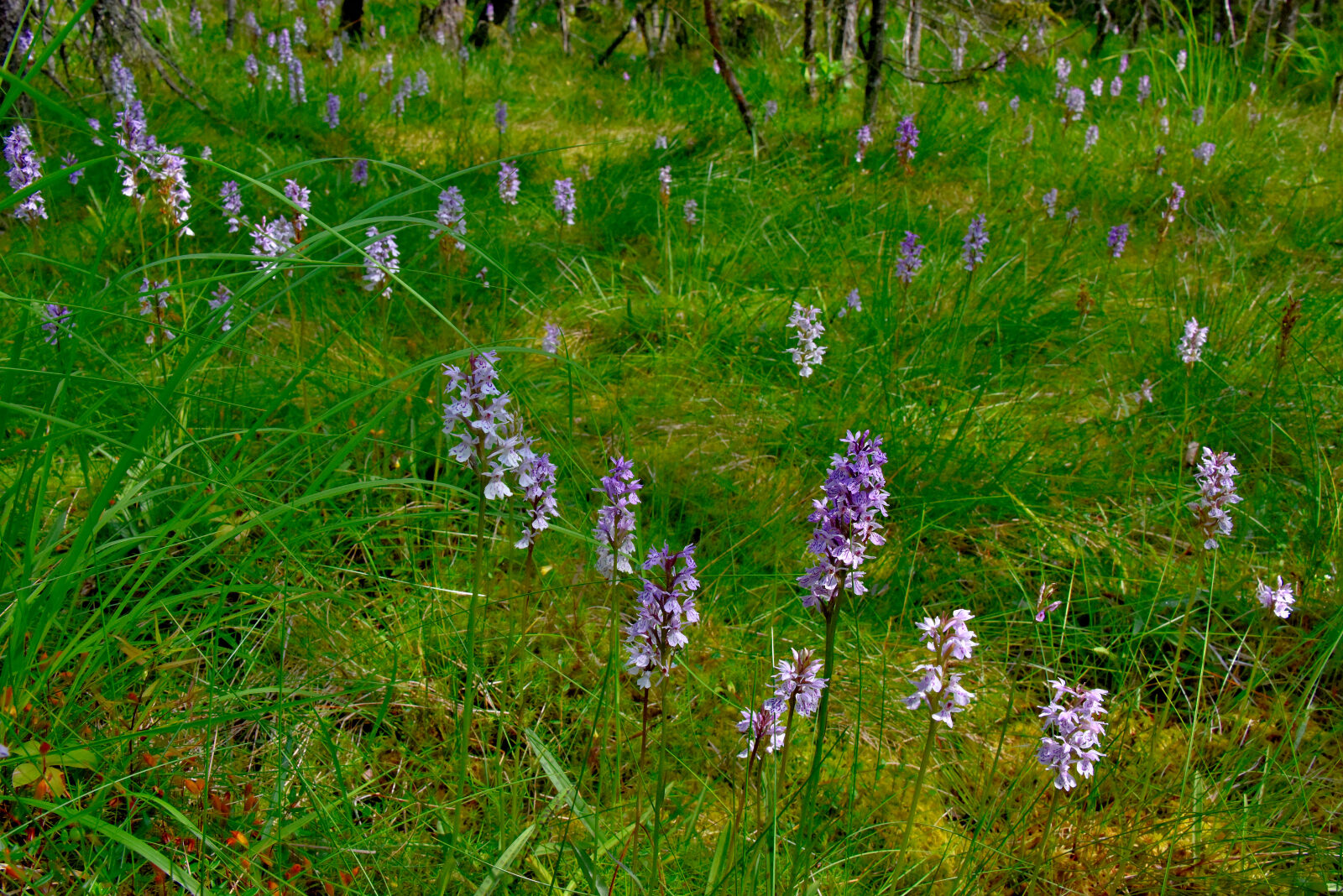 Valokuvaaja: Reijo Juurinen