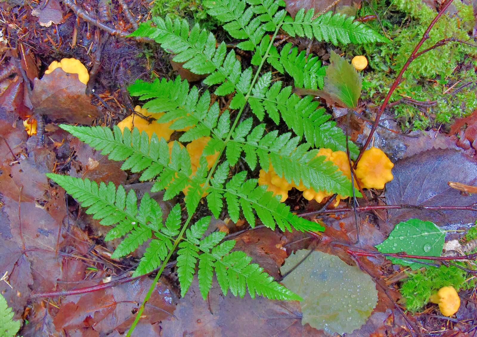 Valokuvaaja: Reijo Juurinen