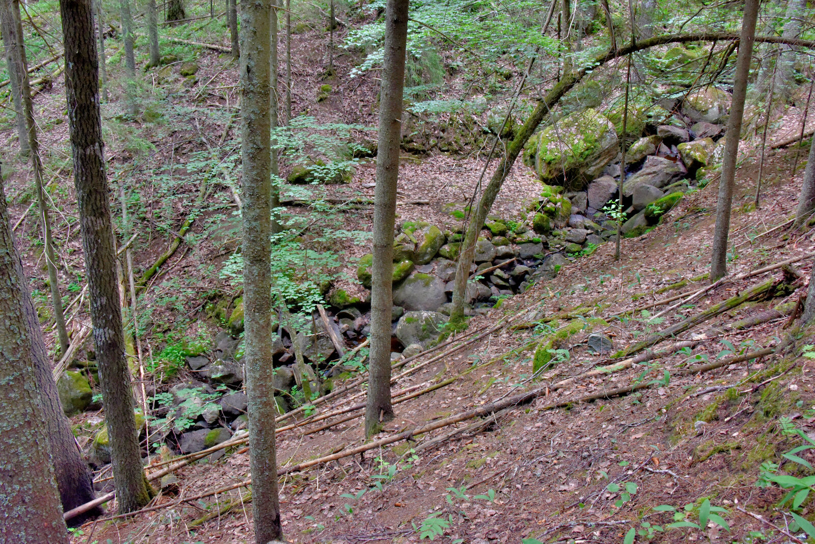 Valokuvaaja: Reijo Juurinen