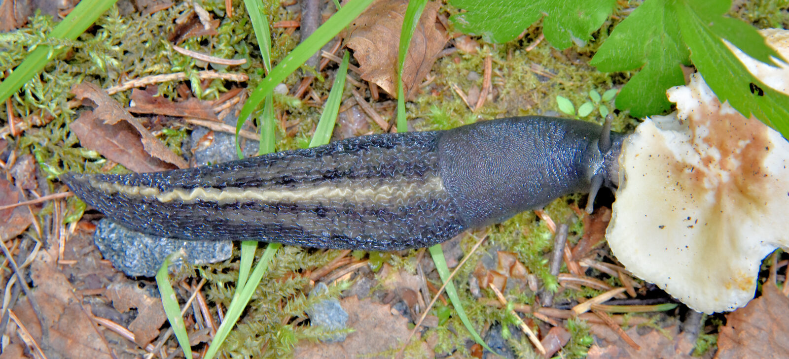 Valokuvaaja: Reijo Juurinen