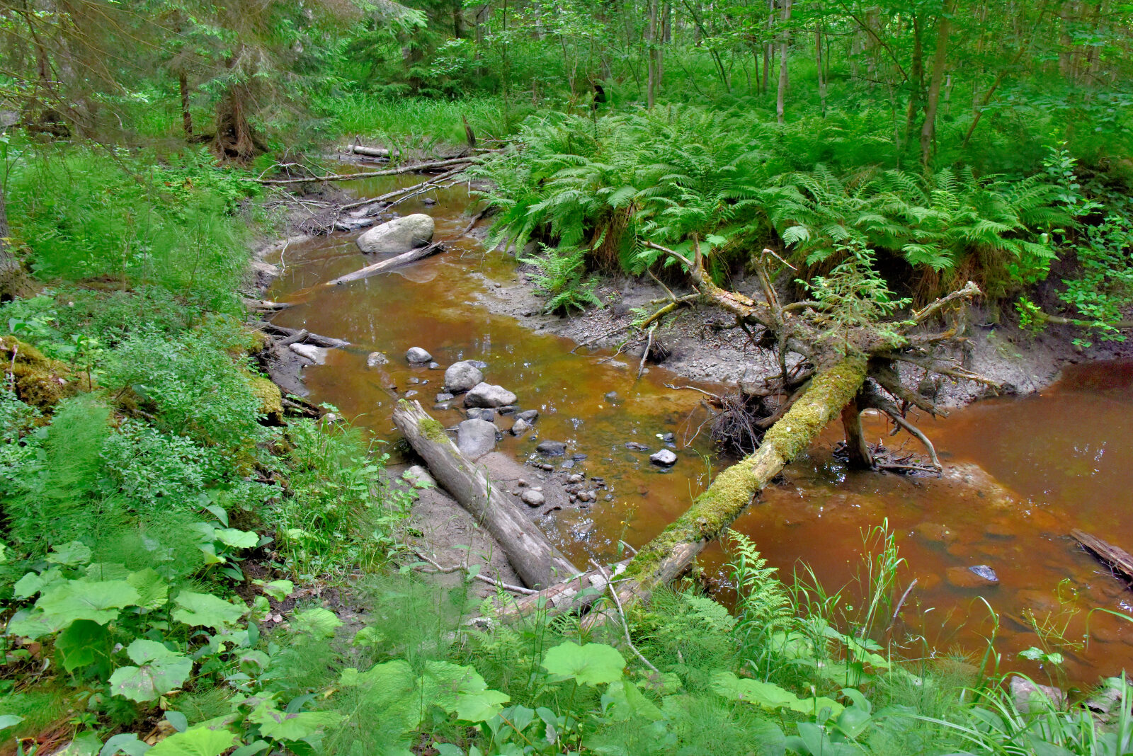 Valokuvaaja: Reijo Juurinen