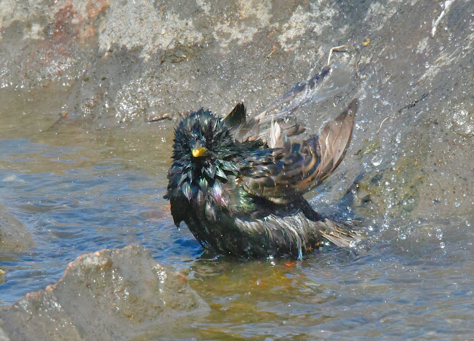 Valokuvaaja: Reijo Juurinen