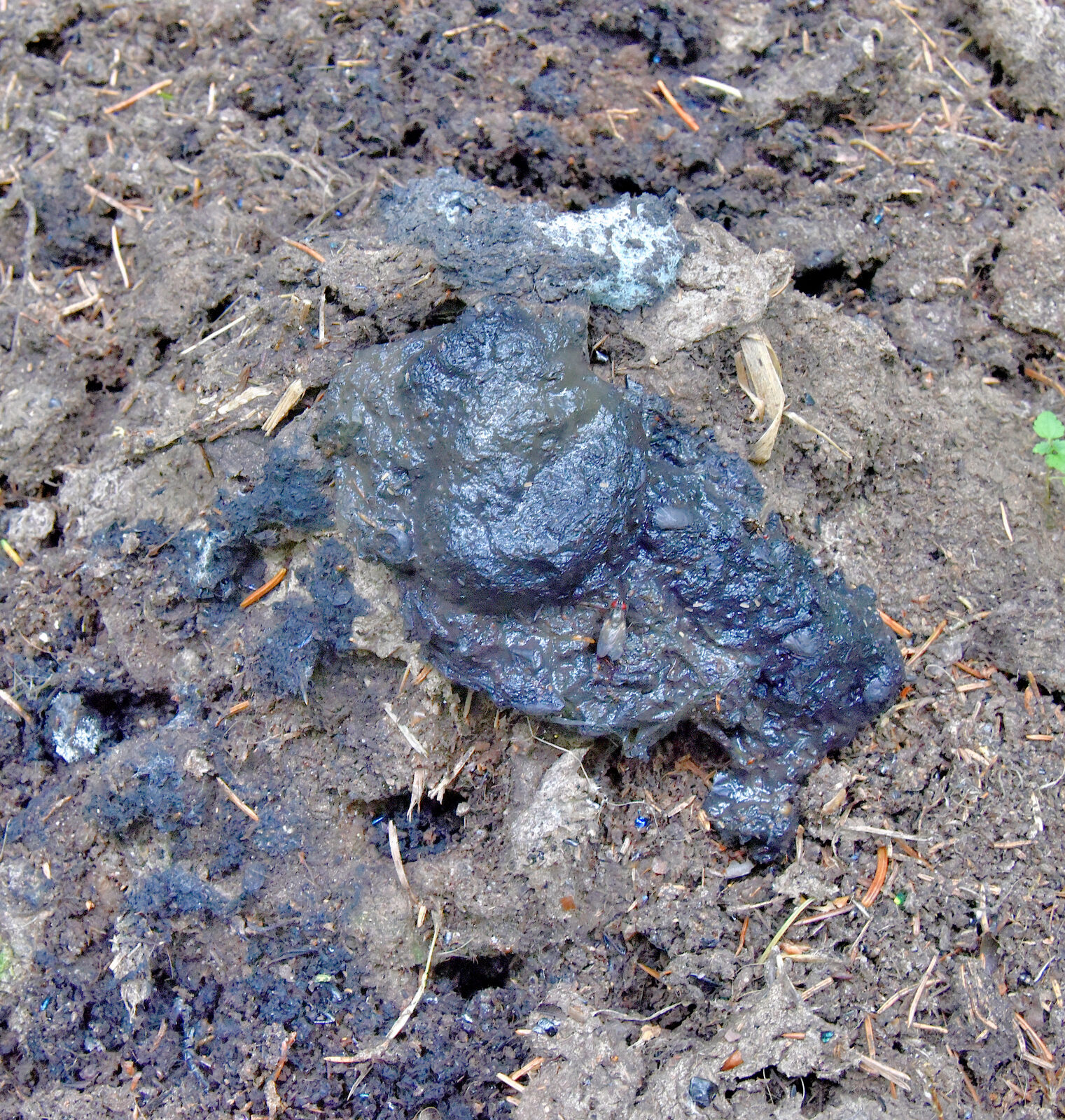 Valokuvaaja: Reijo Juurinen