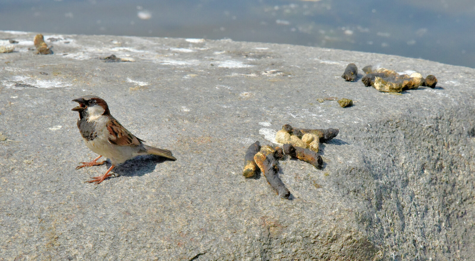 Valokuvaaja: Reijo Juurinen