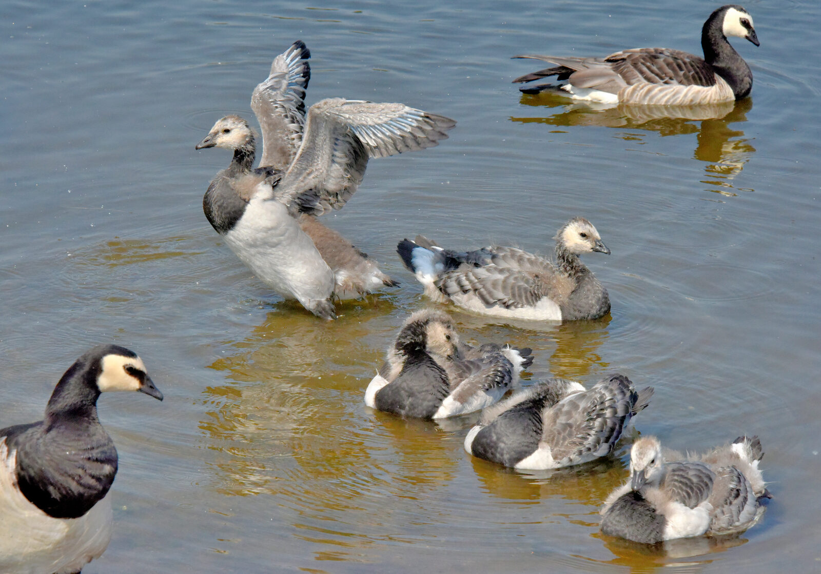Valokuvaaja: Reijo Juurinen