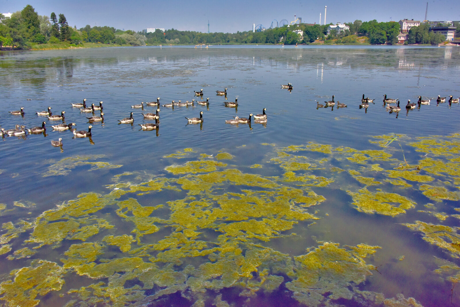 Valokuvaaja: Reijo Juurinen