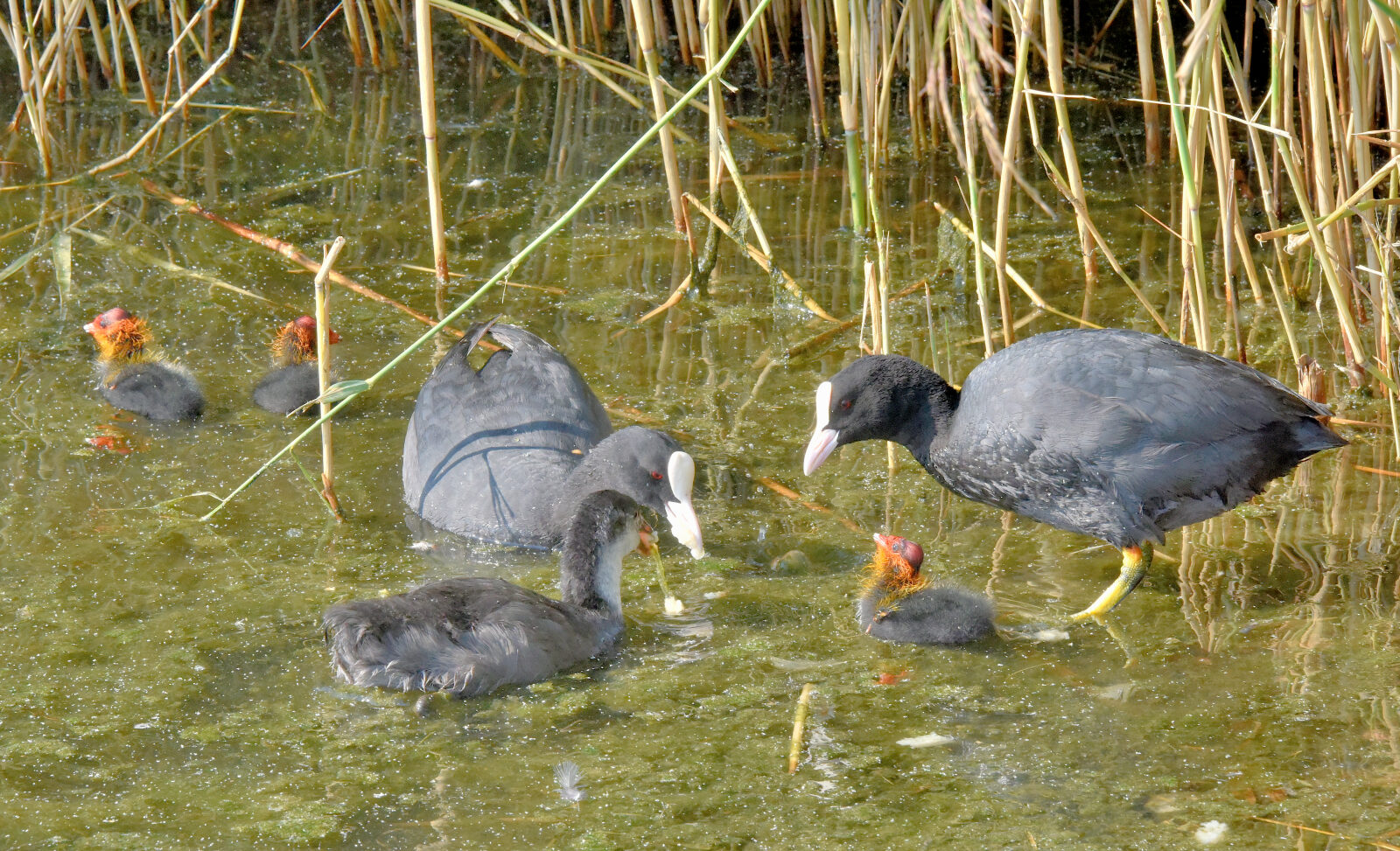 Valokuvaaja: Reijo Juurinen