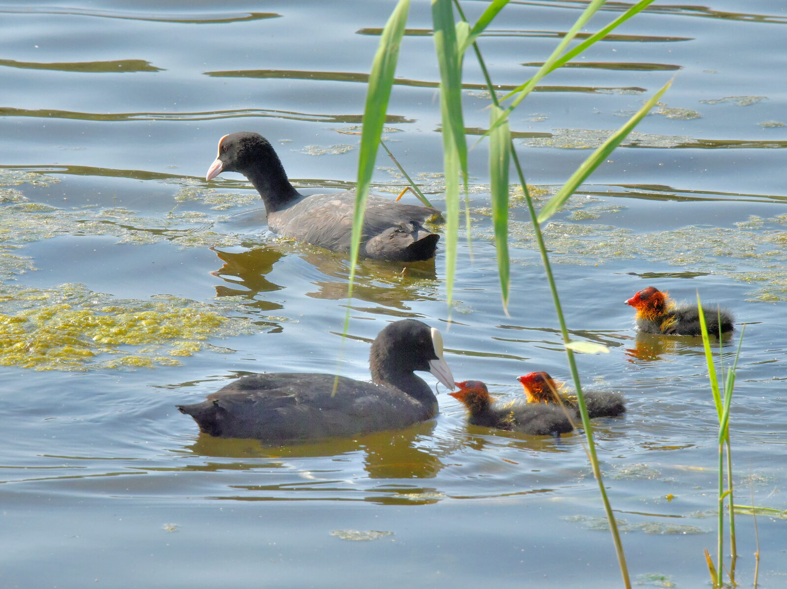 Valokuvaaja: Reijo Juurinen