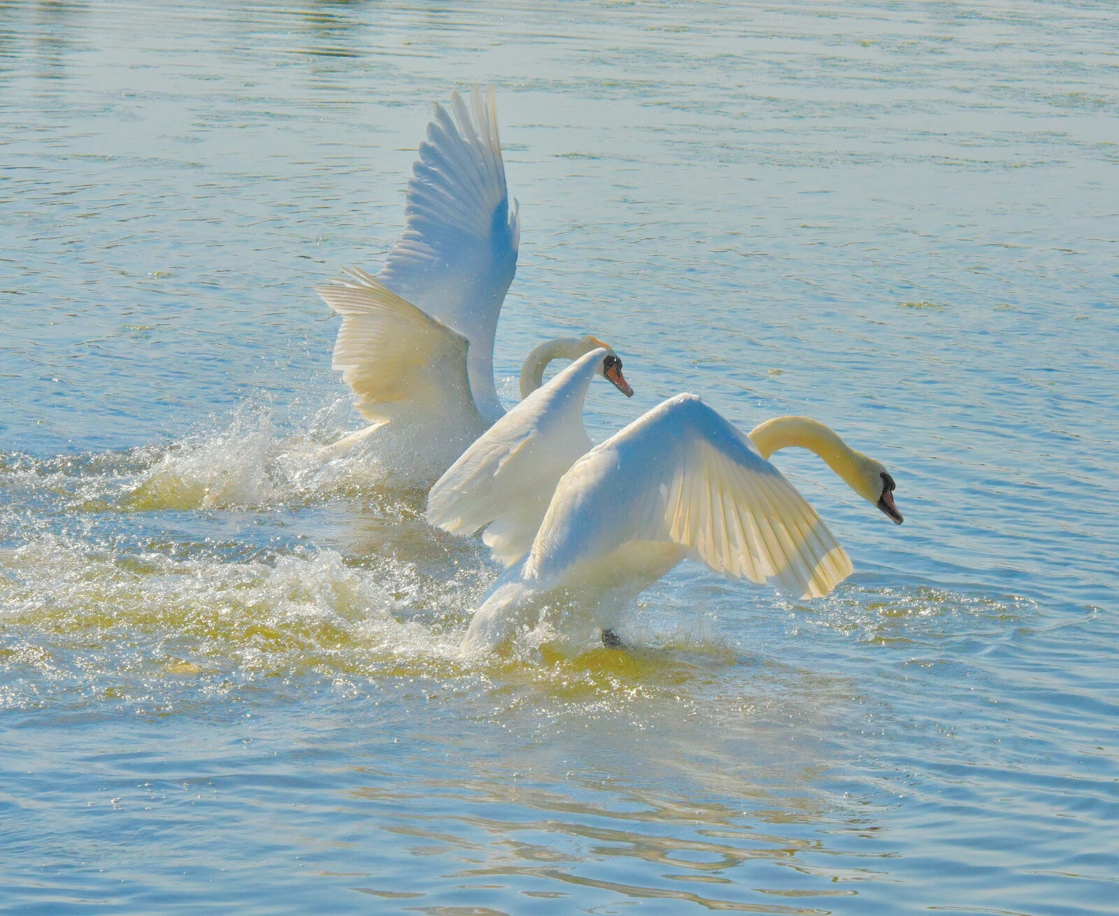 Valokuvaaja: Reijo Juurinen