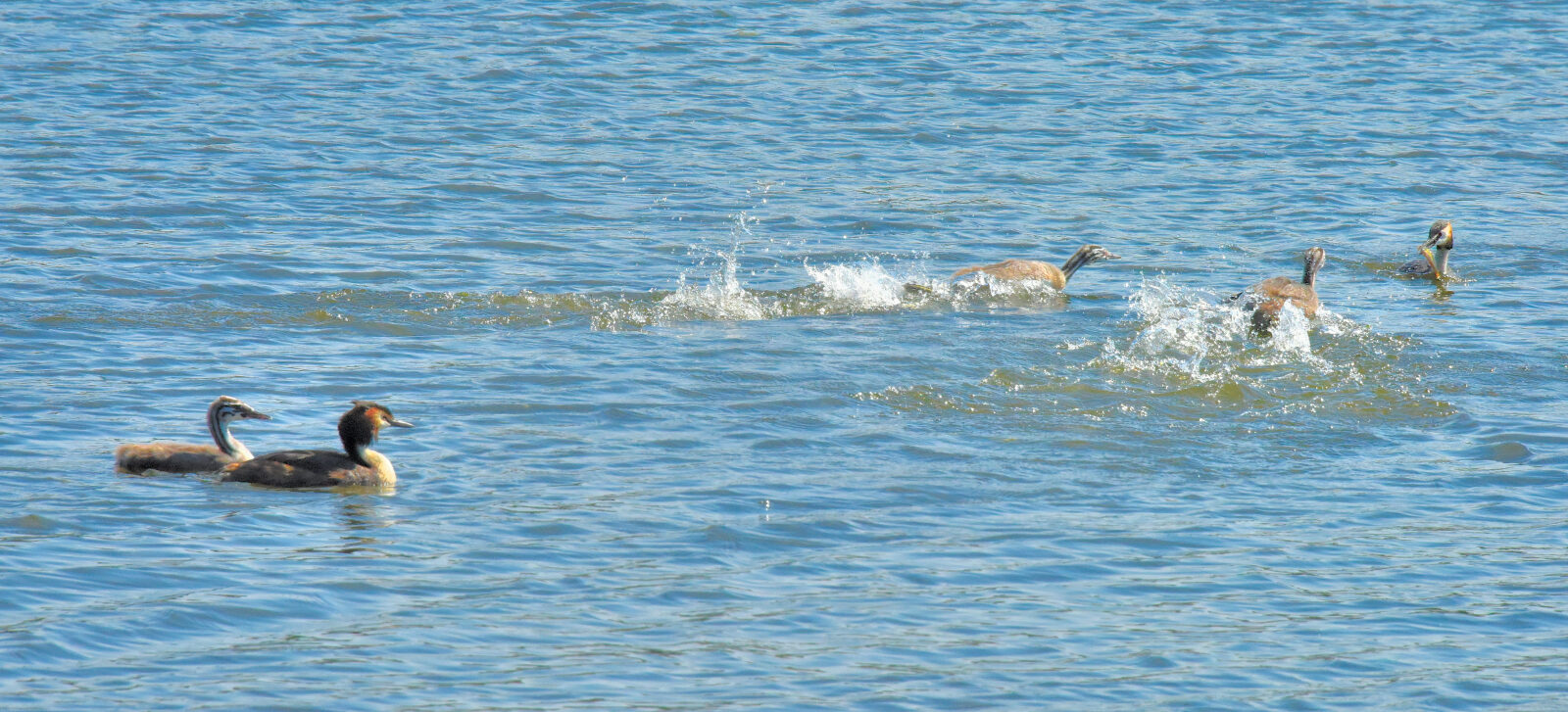 Valokuvaaja: Reijo Juurinen