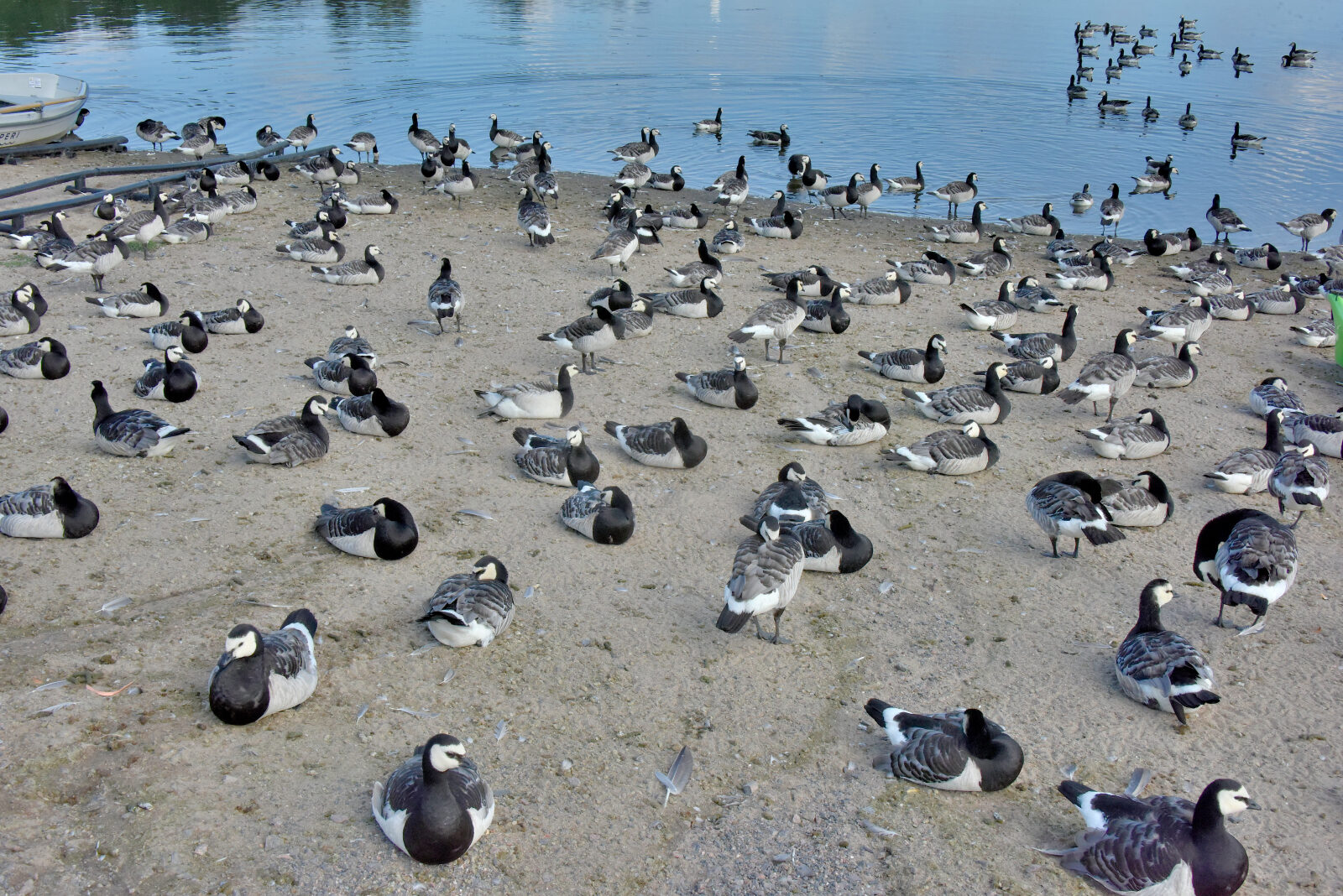 Valokuvaaja: Reijo Juurinen