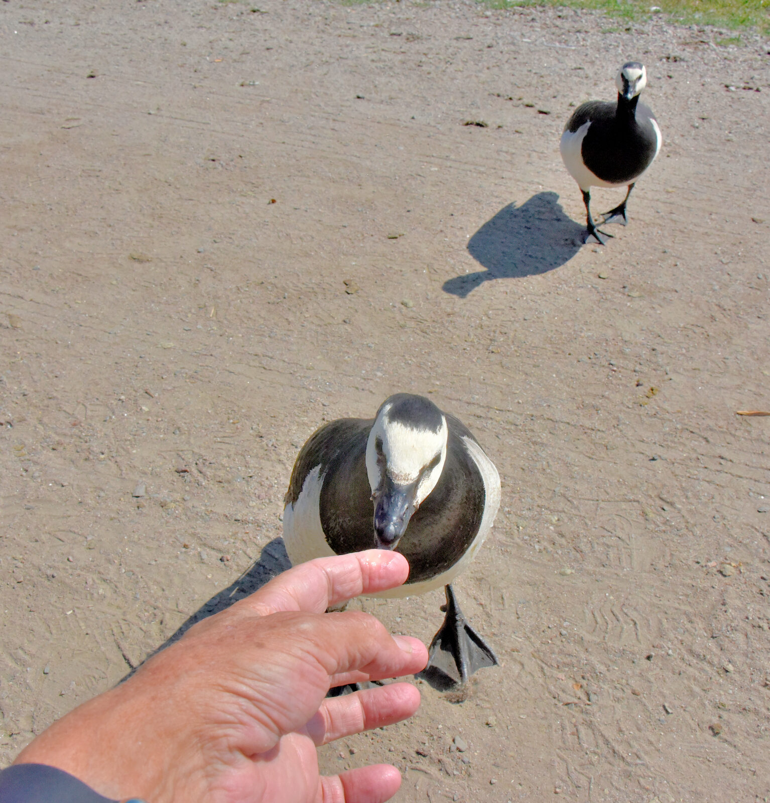 Valokuvaaja: Reijo Juurinen