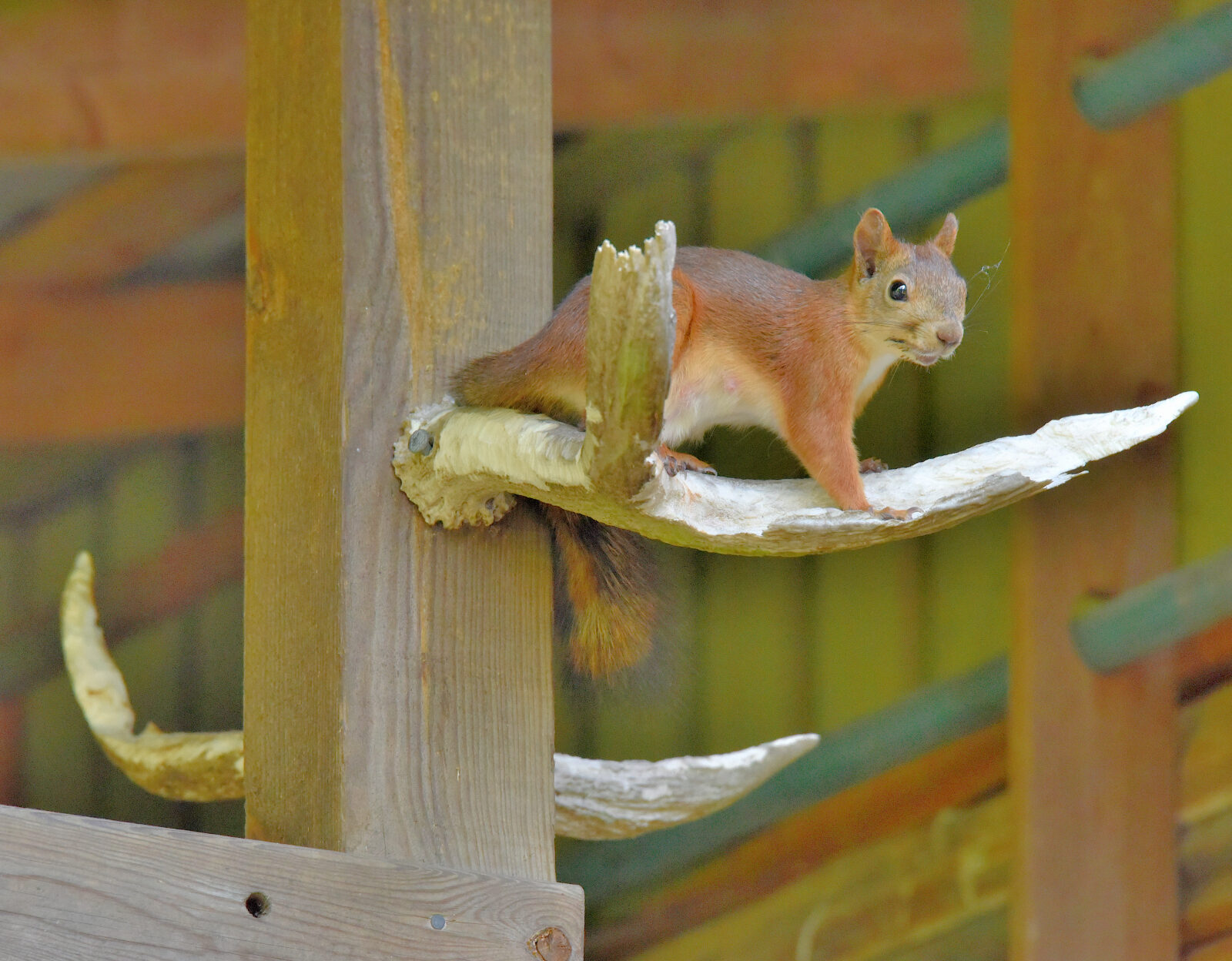 Valokuvaaja: Reijo Juurinen