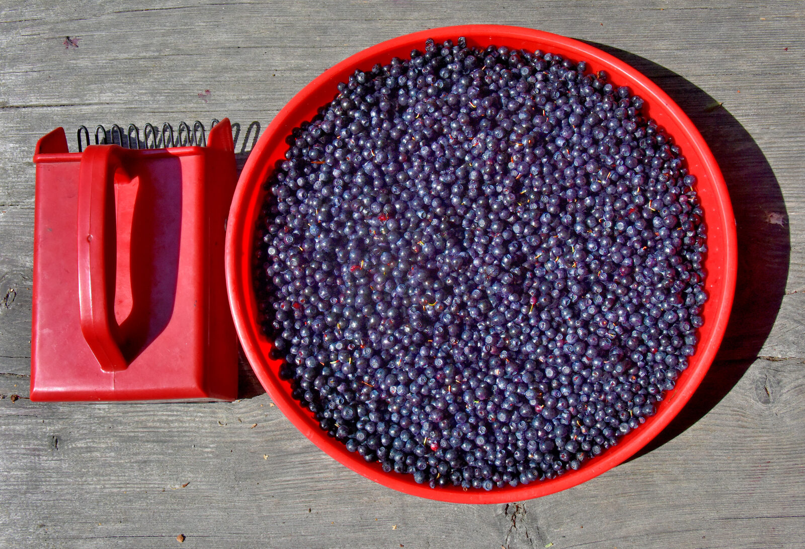 Valokuvaaja: Reijo Juurinen