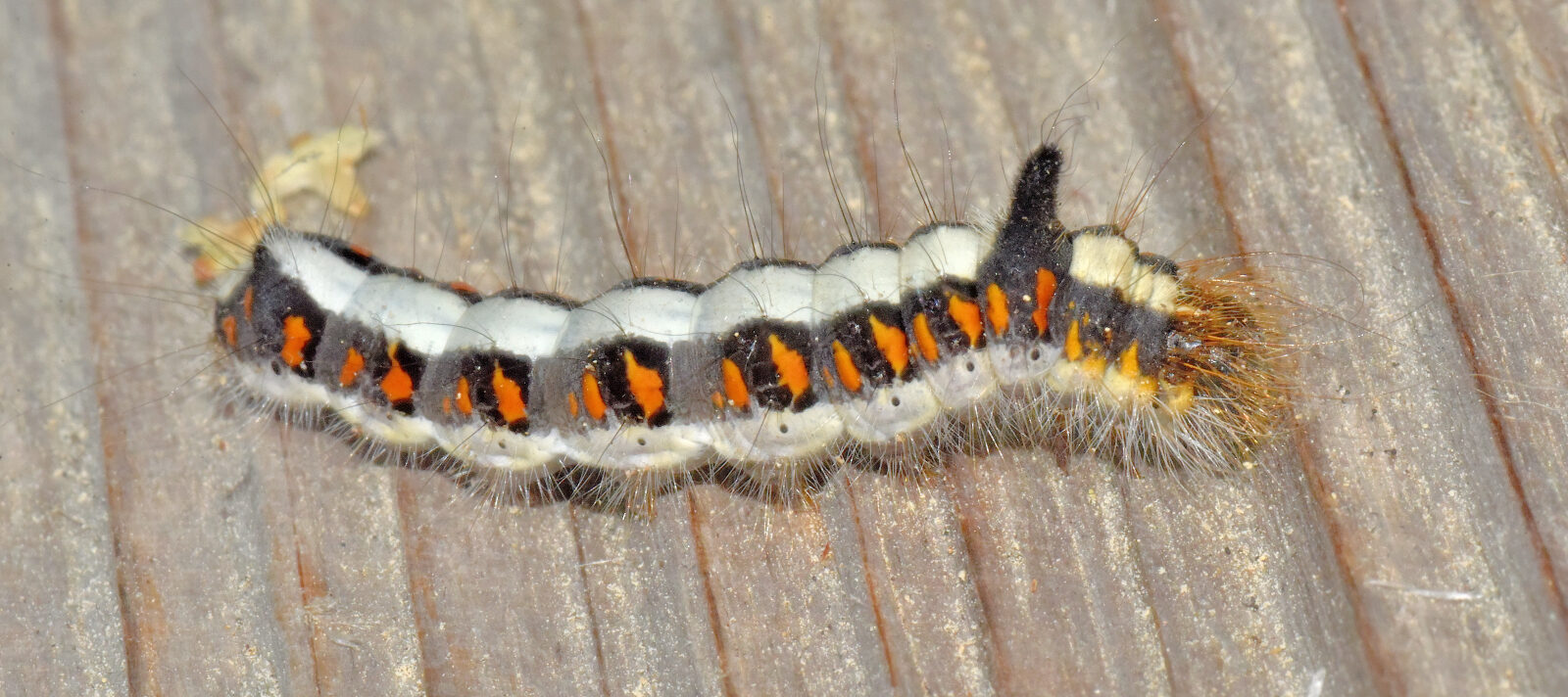 Valokuvaaja: Reijo Juurinen