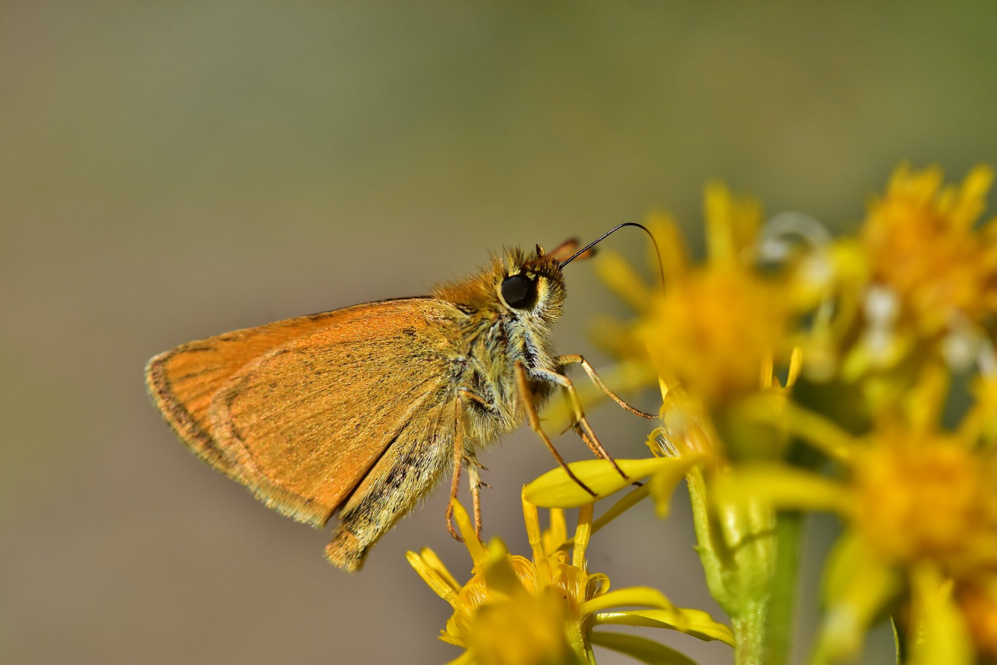 Valokuvaaja: Markku Pelkonen