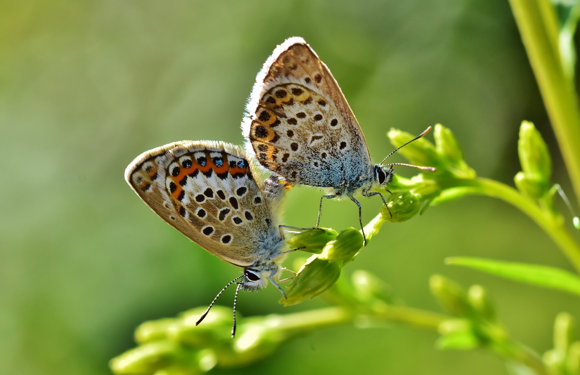Valokuvaaja: Markku Pelkonen