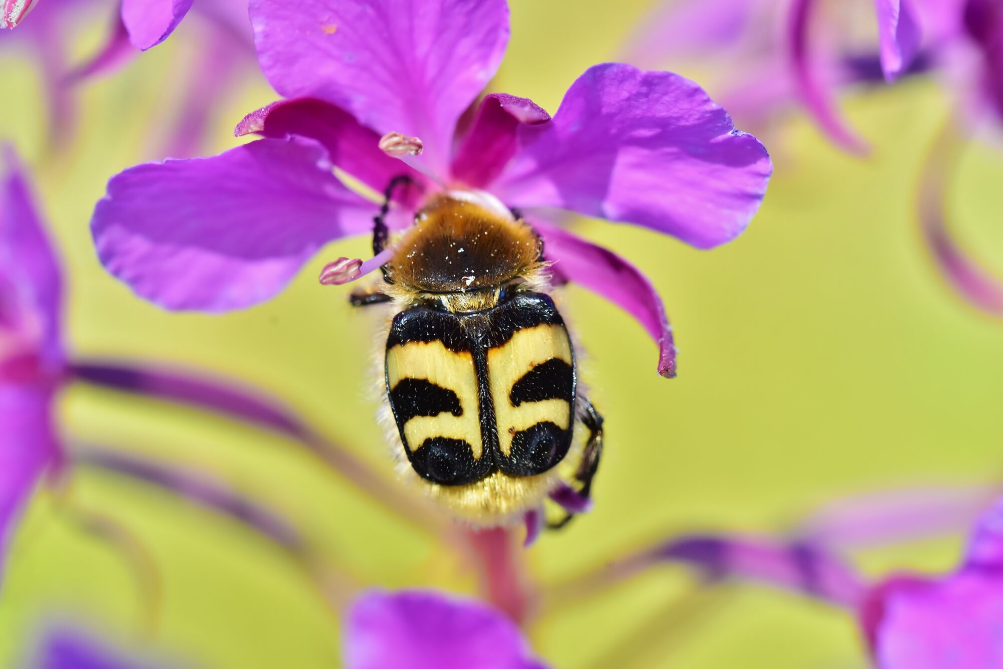 Valokuvaaja: Markku Pelkonen Valokuvaaja: Markku Pelkonen