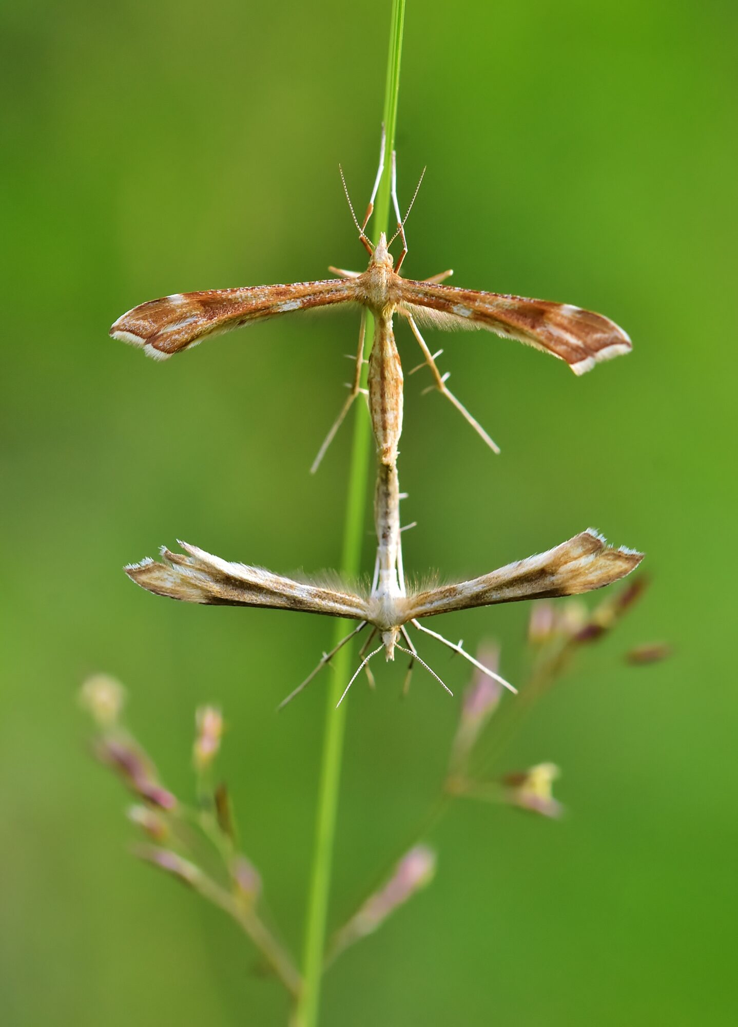 Valokuvaaja: Markku Pelkonen
