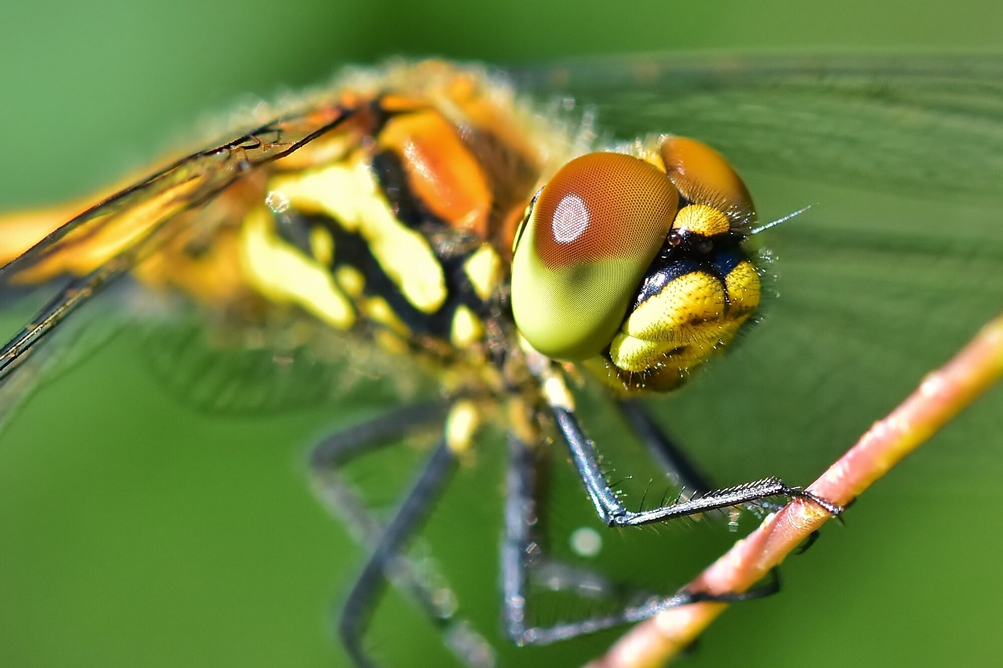 Valokuvaaja: Markku Pelkonen