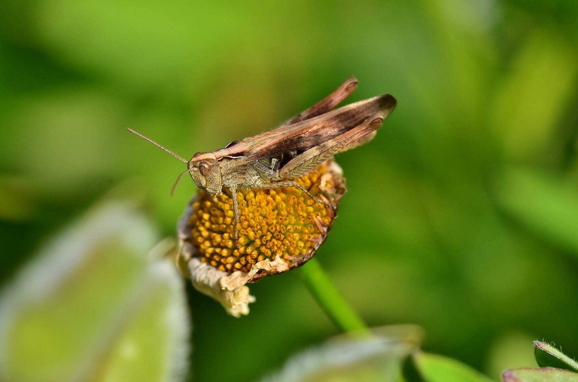 Valokuvaaja: Markku Pelkonen