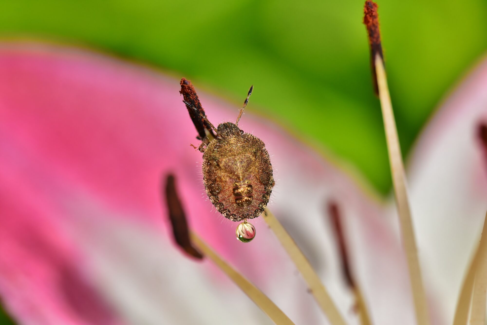 Valokuvaaja: Markku Pelkonen