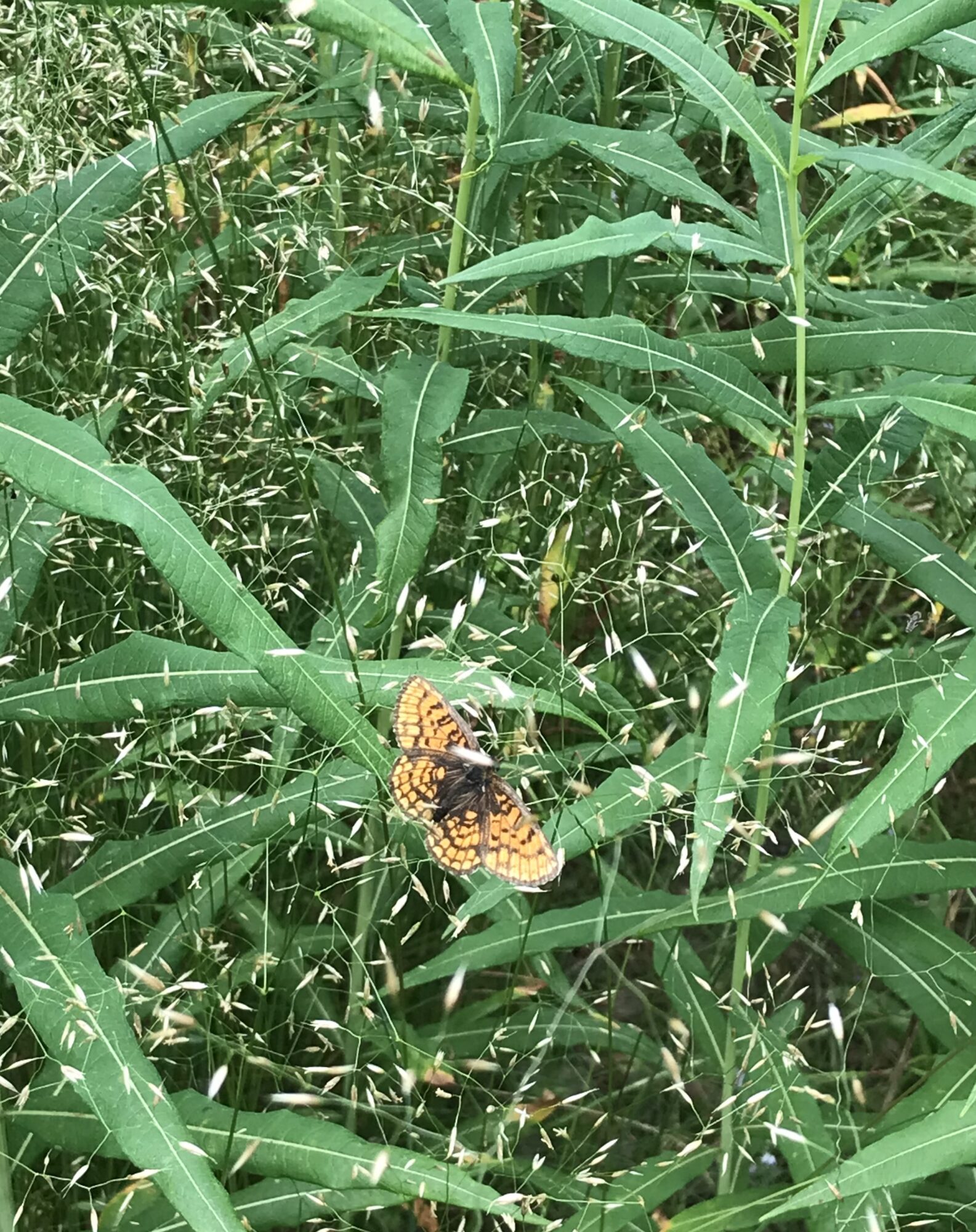 Valokuvaaja: Tero Korhonen