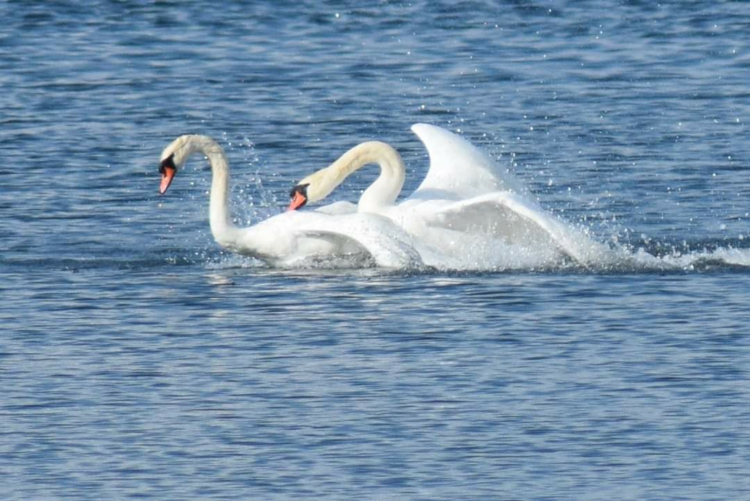 Valokuvaaja: Sonja Nokkala