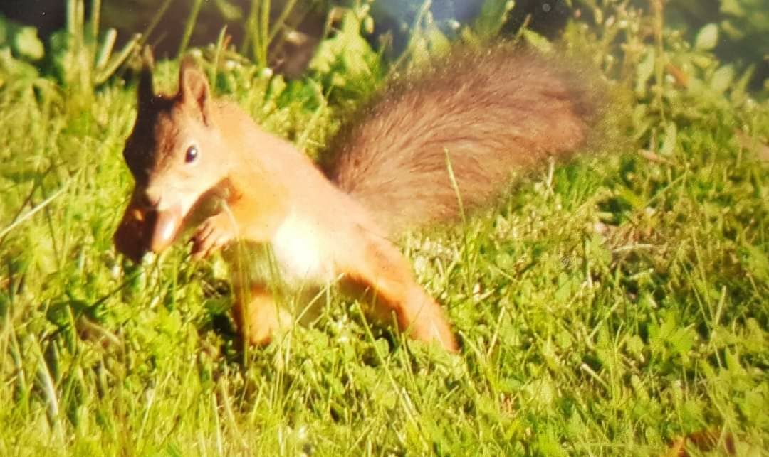 Valokuvaaja: Sonja Nokkala