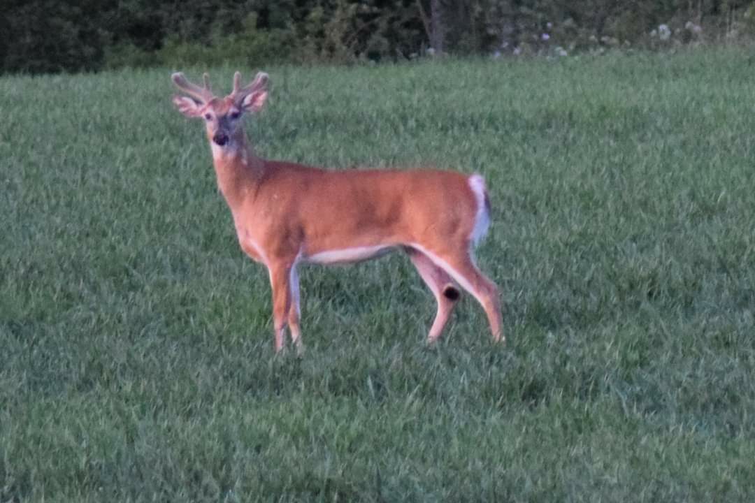 Valokuvaaja: Sonja Nokkala