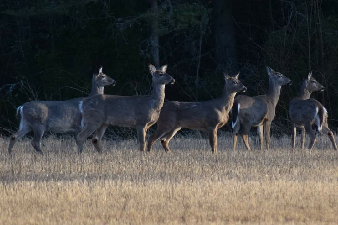 Valokuvaaja: Sonja Nokkala